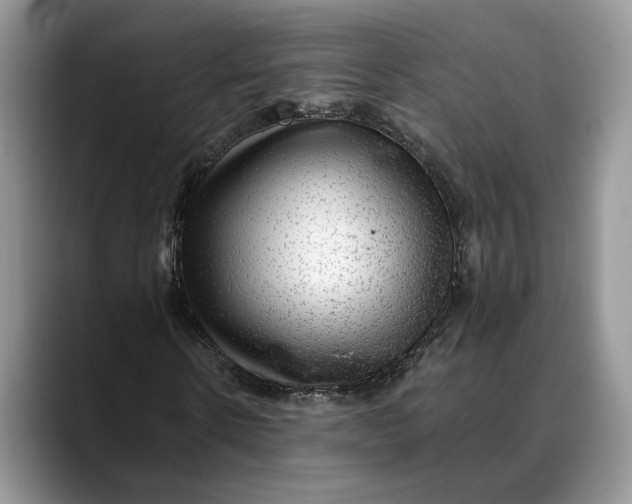 X0000088410914200706121411