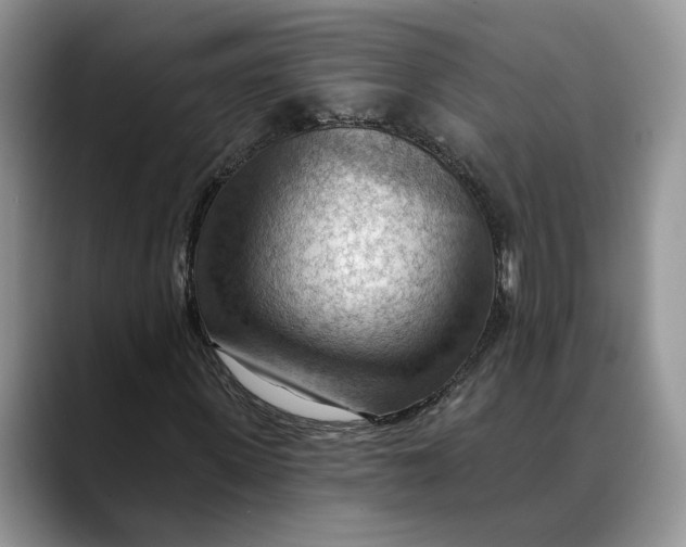 X0000088410915200706121411