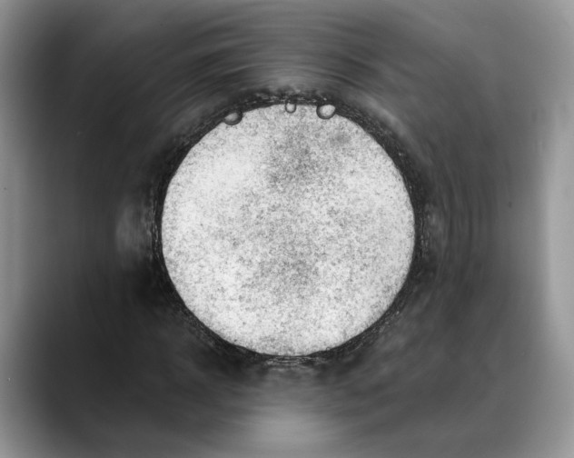 X0000088410918200706121411