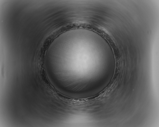 X0000088410919200706121411