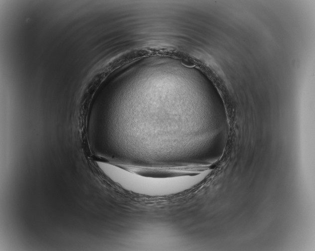 X0000088410920200706121411