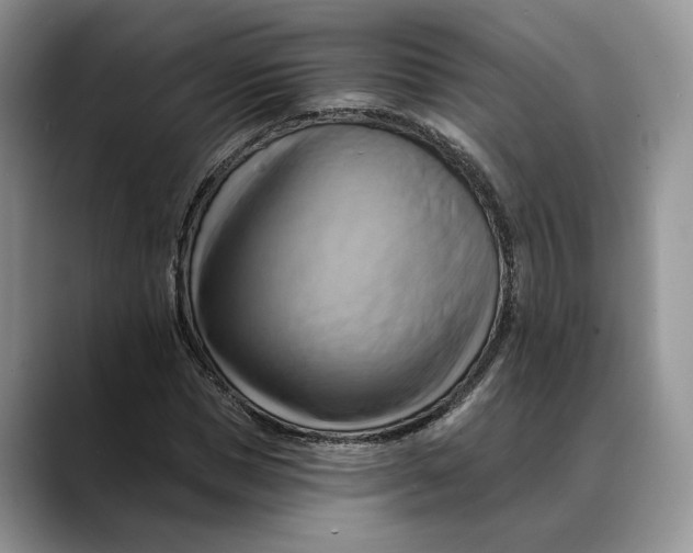 X0000088410921200706121411