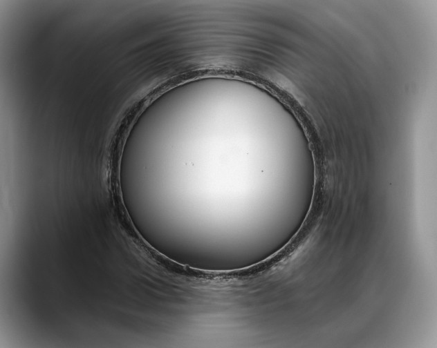 X0000088410922200706121411