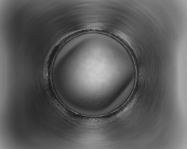 X0000088410923200706121411