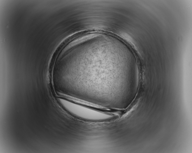 X0000088410924200706121411