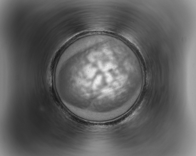 X0000088410925200706121412