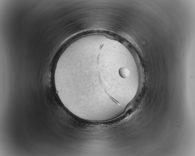 X0000088410926200706121412