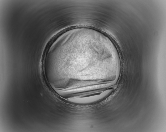 X0000088410928200706121412