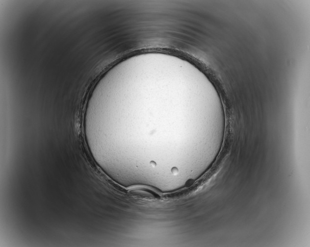 X0000088410929200706121412