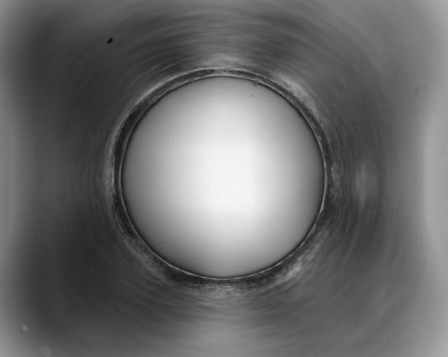 X0000088410931200706121412