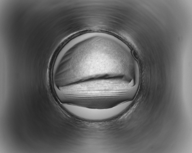 X0000088410932200706121412