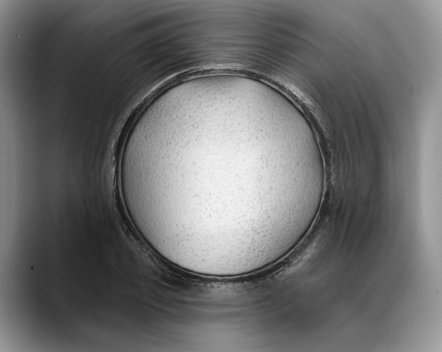 X0000088410933200706121412