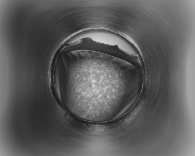 X0000088410935200706121412