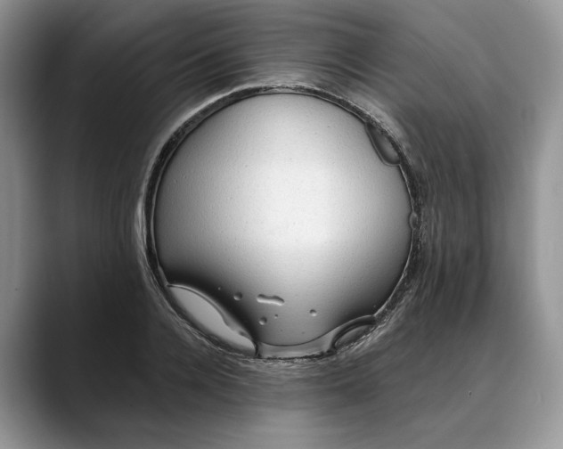 X0000088410936200706121412