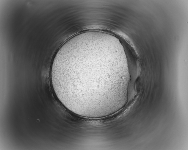 X0000088410937200706121412