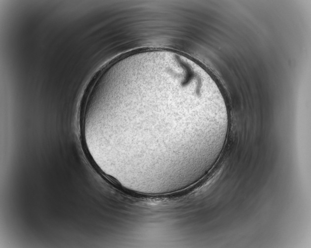 X0000088410939200706121412