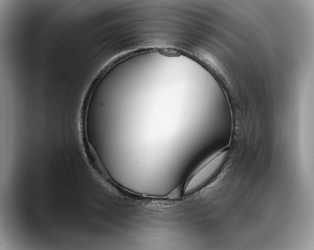 X0000088410942200706121412