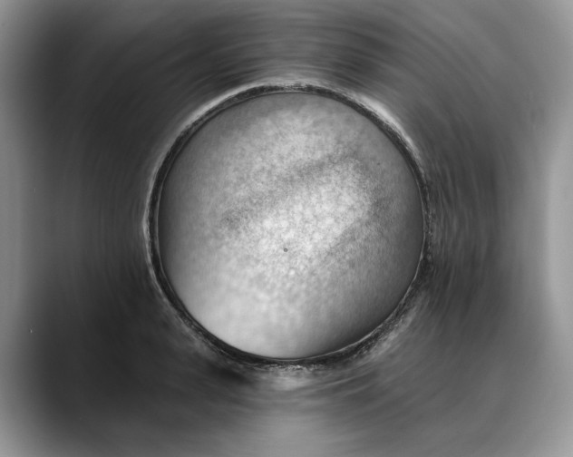 X0000088410943200706121412