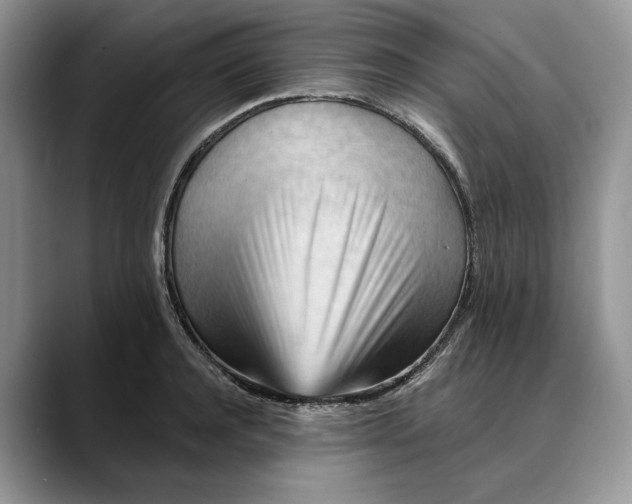 X0000088410944200706121412