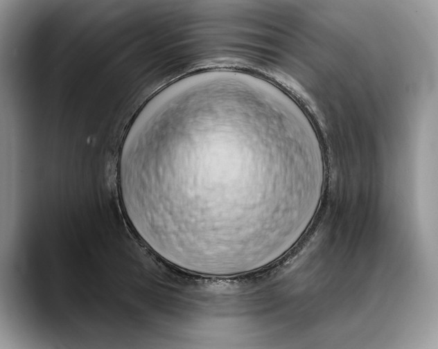 X0000088410945200706121412