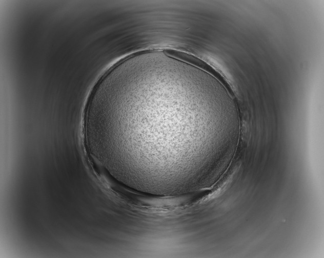 X0000088410948200706121412