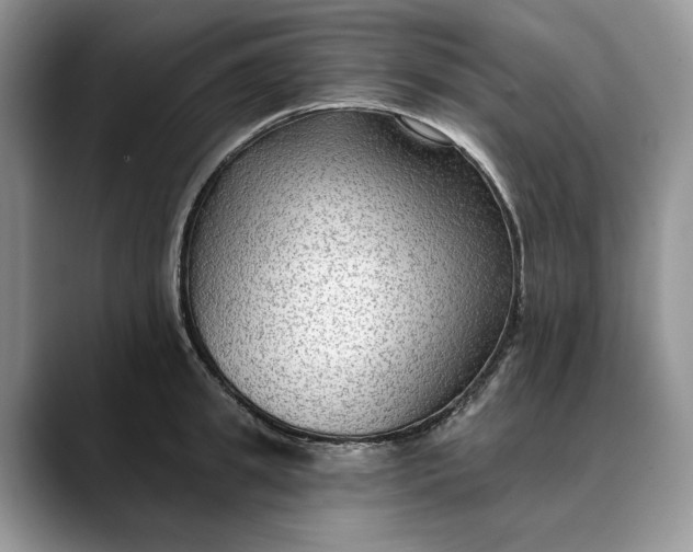 X0000088410949200706121412