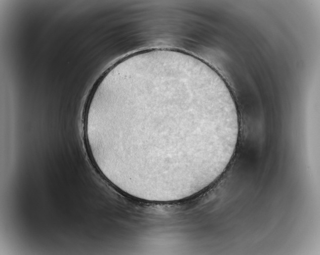 X0000088410950200706121412