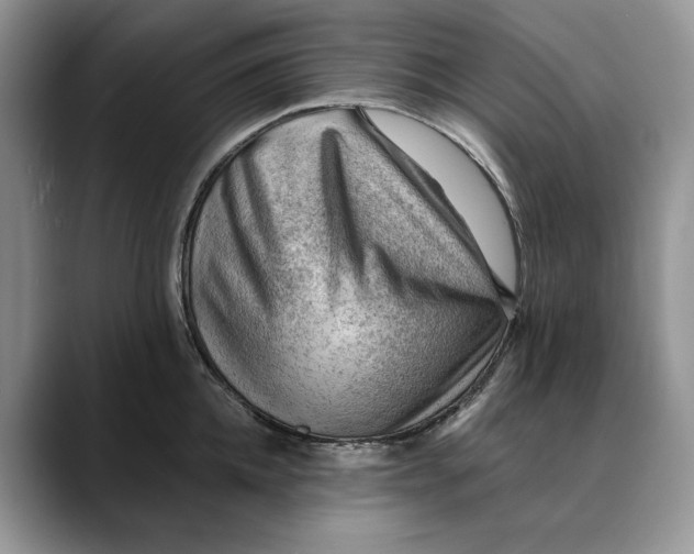 X0000088410952200706121412