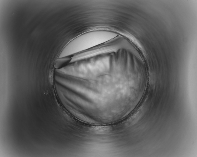 X0000088410953200706121412