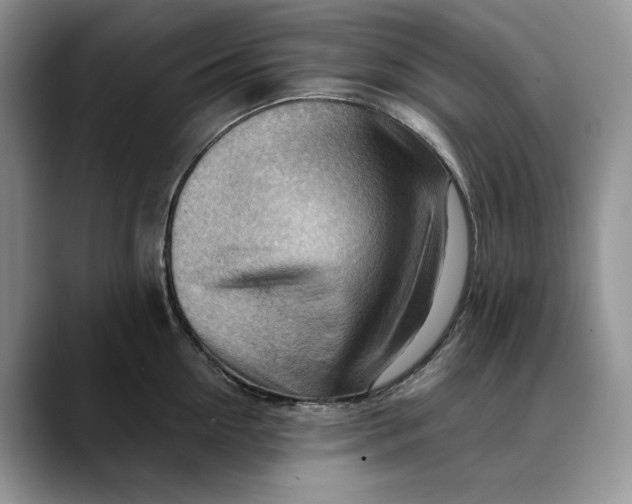 X0000088410954200706121412