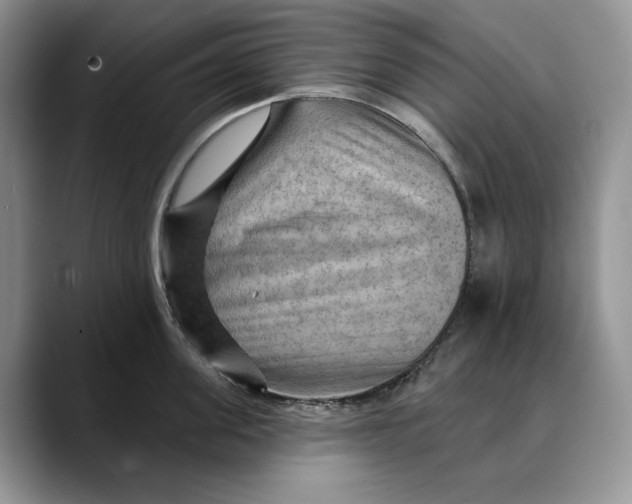 X0000088410955200706121412