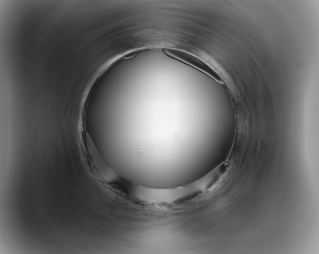 X0000088410956200706121412