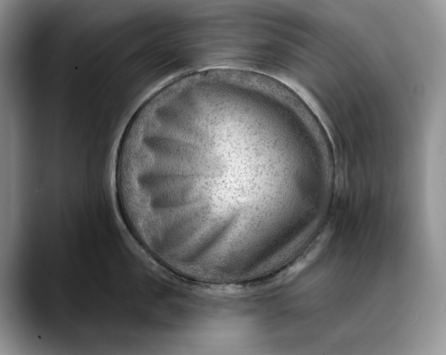 X0000088410957200706121412