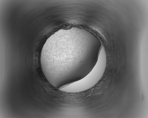 X0000088410968200706121411