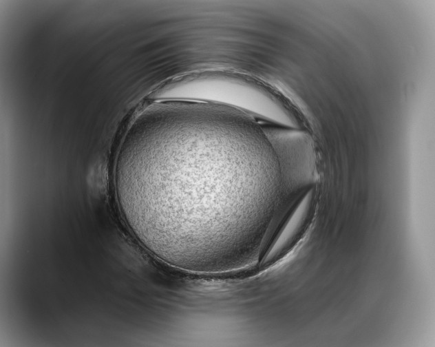 X0000088410969200706121411