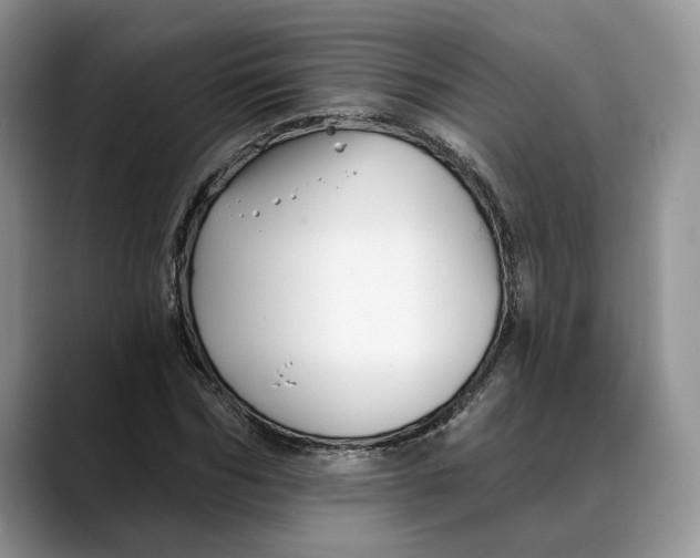 X0000088410970200706121411