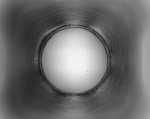 X0000088410971200706121411