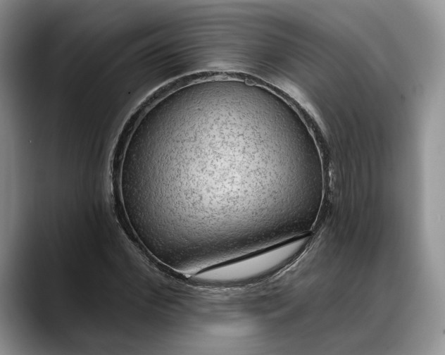 X0000088410972200706121411