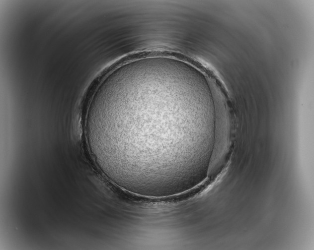 X0000088410973200706121411