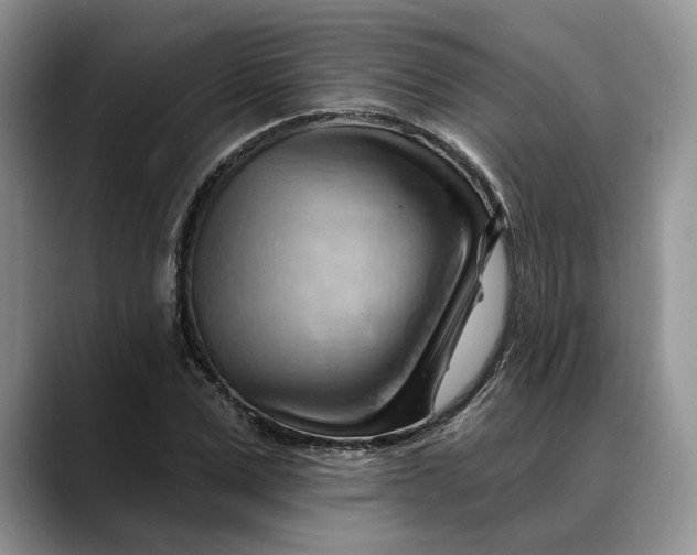 X0000088410975200706121411