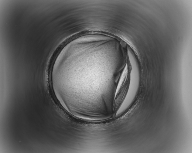 X0000088410976200706121411