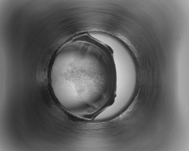 X0000088410977200706121411