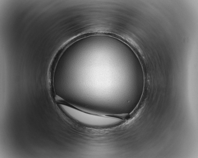 X0000088410981200706121411