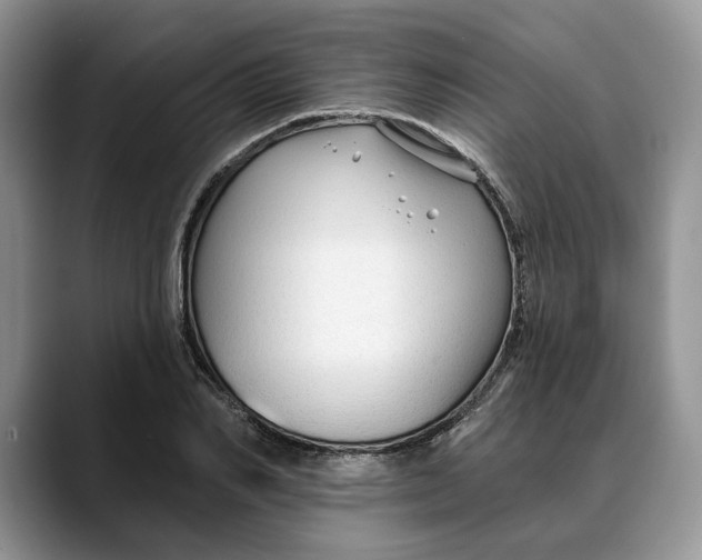 X0000088410982200706121411