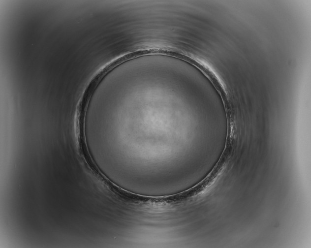 X0000088410983200706121411