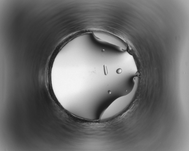 X0000088410984200706121411