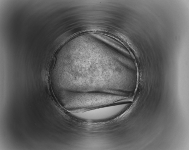 X0000088410985200706121411