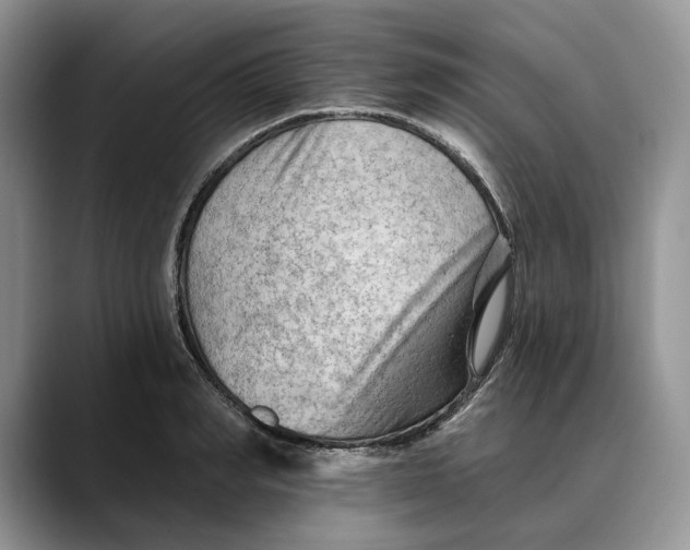 X0000088410990200706121411