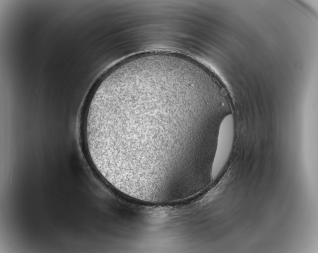 X0000088410991200706121411