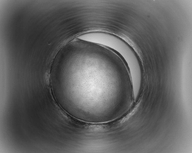 X0000088410993200706121411